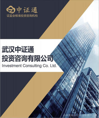 武汉中证通投资咨询有限公司 专业服务与合规警示